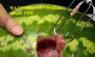 PASTÈQUE - Brillant - CONSEILS simples