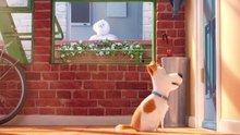 Watch The Secret Life of Pets FULL MOVIE Online (HD)