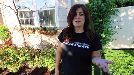 Garden Tour (Our Old House)