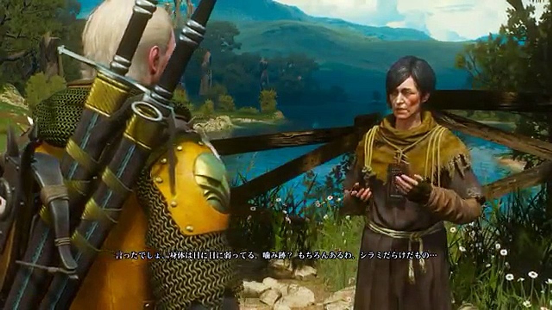 The Witcher 3 ゲラルトの愛馬ローチが喋るクエスト 馬の亡霊 Dlc 血塗られた美酒 Video Dailymotion