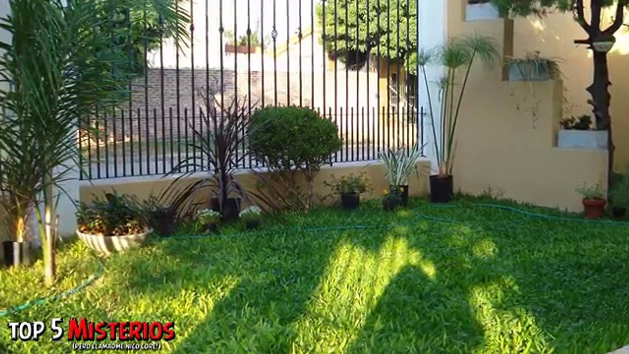 7 COSAS INCREÍBLES ENCONTRADAS ENTERRADAS EN PATIOS TRASEROS!