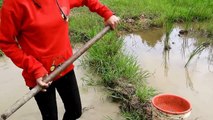 Wow! Beautifull Girl Fishing in Battambang - Khmer Net Fishing - Cambodia Traditional Fishing (127 )