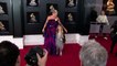 Grammys 2018 Red Carpet Moments