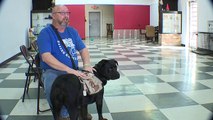 Veteran Says He Can`t Bring Service Dog to Work Because She is Part Rottweiler