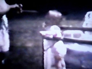 Born to be on Dailymotion video Robert's youth volume 2