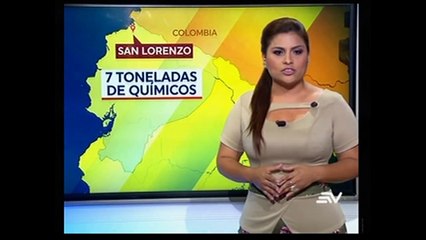 Televistazo 19h00 29-01-2018