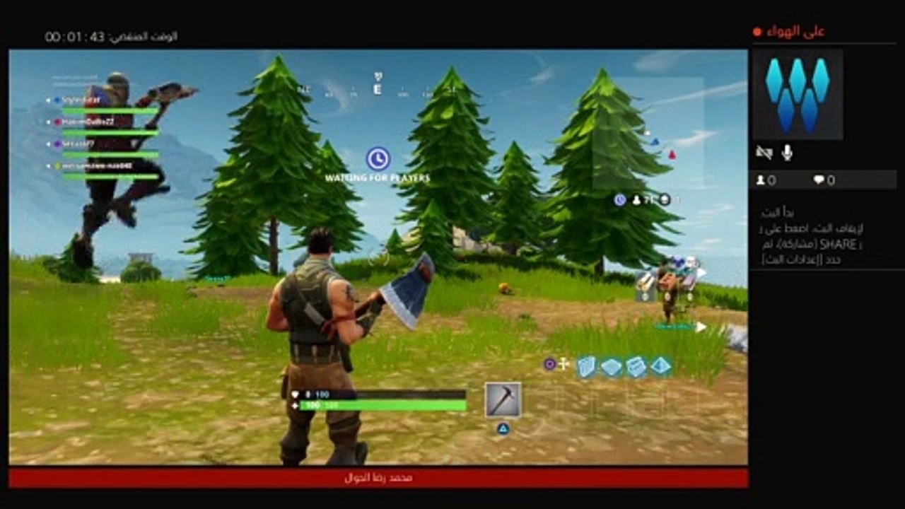 Fortnite (34)