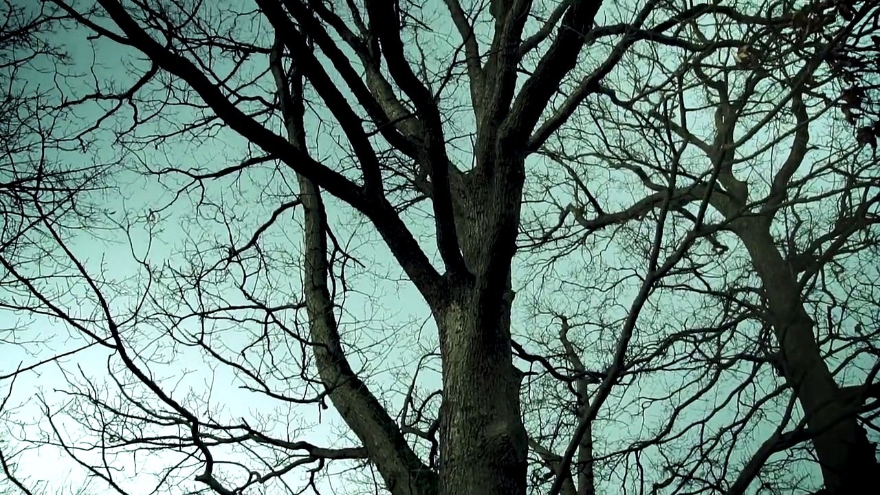 Wicker Man: Lift your faces to the light