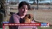 Puppy Stolen from Oklahoma Adoption Event
