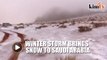 Saudi Arabian desert turns white after rare snowstorm