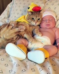 Phòng khám đa khoa Đại Đông - Cute cats and baby