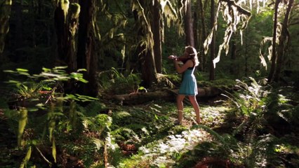 Colors of the Wind (From Disney's  Pocahontas ) - Violin Cover - Taylor Davis