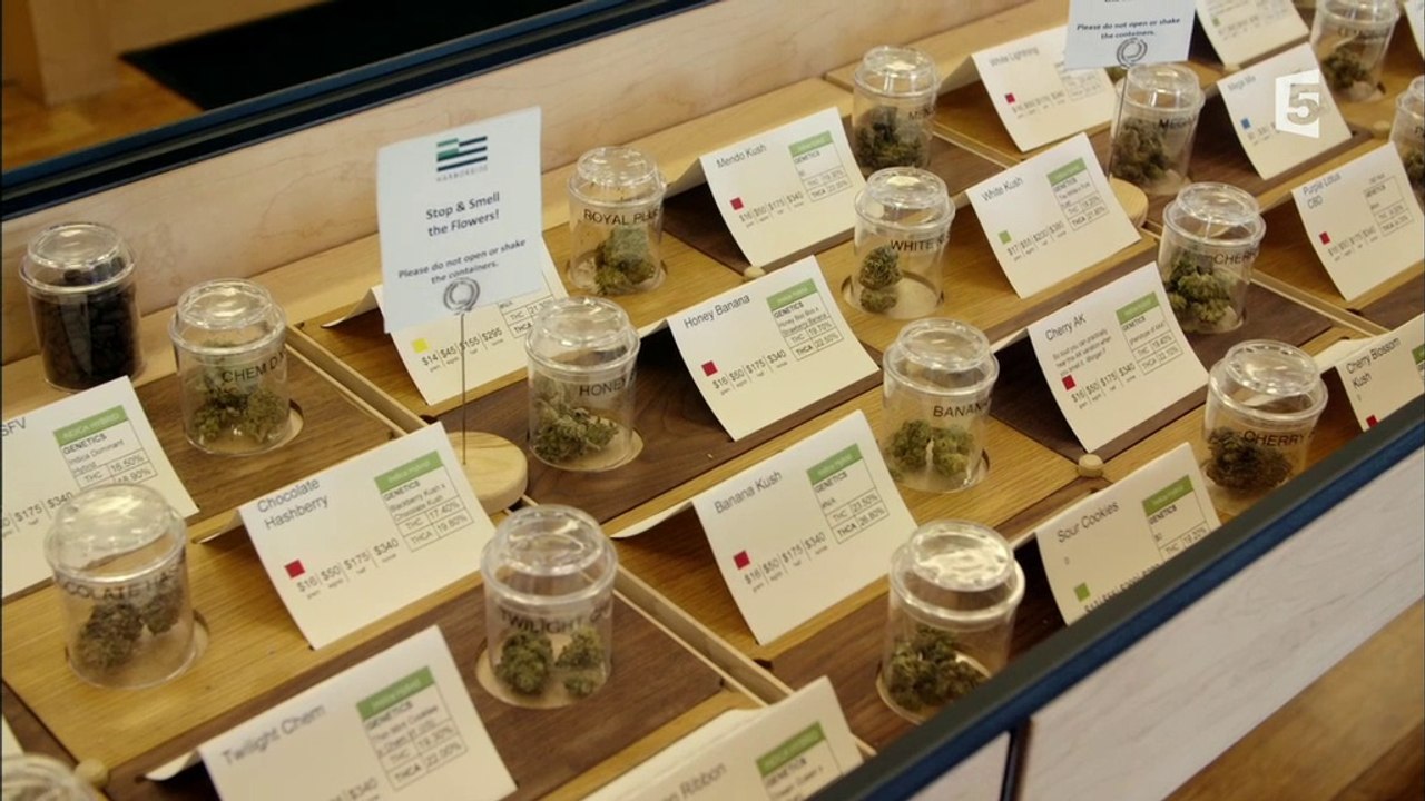 Le Cannabis aux Etats-Unis : La ruée vers l'herbe ! (France 5) (2018) (FR)