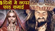 Padmaavat Day 5 Box Office Collection: Deepika Padukone | Ranveer Singh | Shahid Kapoor | FilmiBeat