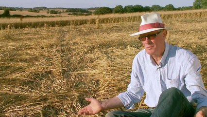 Earth Signs from Above Series 1 1of3 Crop Circles A Modern Mystery