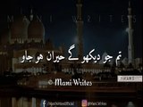 Poetry lines by -Pakistan political network