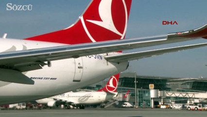 Pilotlara pas geçirten köpekler için tim kuruldu