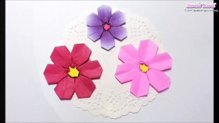 Origami - Cosmos (Mexican Aster) / 종이접기 - 코스모스 꽃
