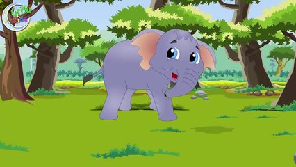 Chuk Chuk Rail Gadi and More | چھك چھك ریل گاڑی | Urdu Rhymes Collection