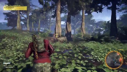 sefkezgb's Live PS4 HD Tom Clancy's Ghost Recon Wildlands (6)