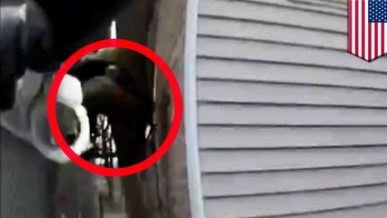 Man runs from traffic cop and ends up getting tased in the ass