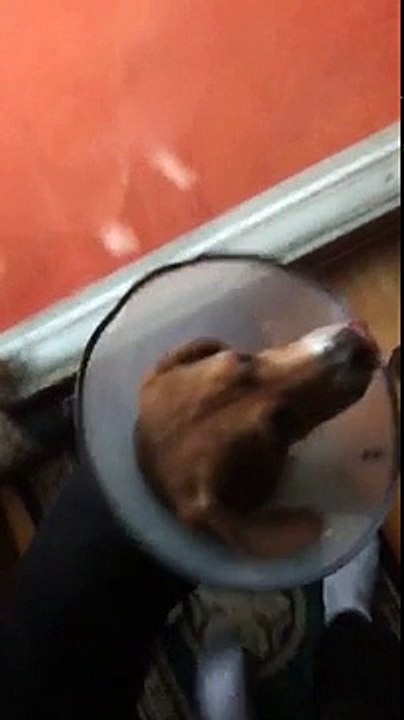 Mais qu'est-ce que tu m'as fait