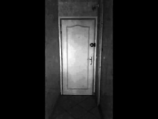 Les Locataires par Damien Coudier aux Éditions Ex Æquo