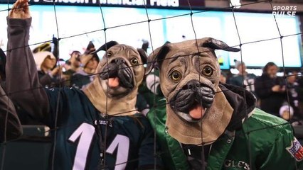 The Eagles don't care if you think they're the underdog