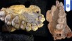 Manusia pertama ditemukan di dalam gua Israel di luar Afrika - TomoNews