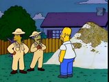 Homer Simpson - Que las abejas estan donde?