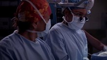 Grey's Anatomy Season 14 Episode 11 Full [Streaming]