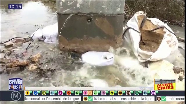 Crue dans l'Essonne : des dizaines de poissons flottent à la surface à cause de rejets d'eaux usées dans le milieu naturel