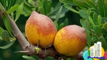 10 Tips How To Grow Your Hair Faster