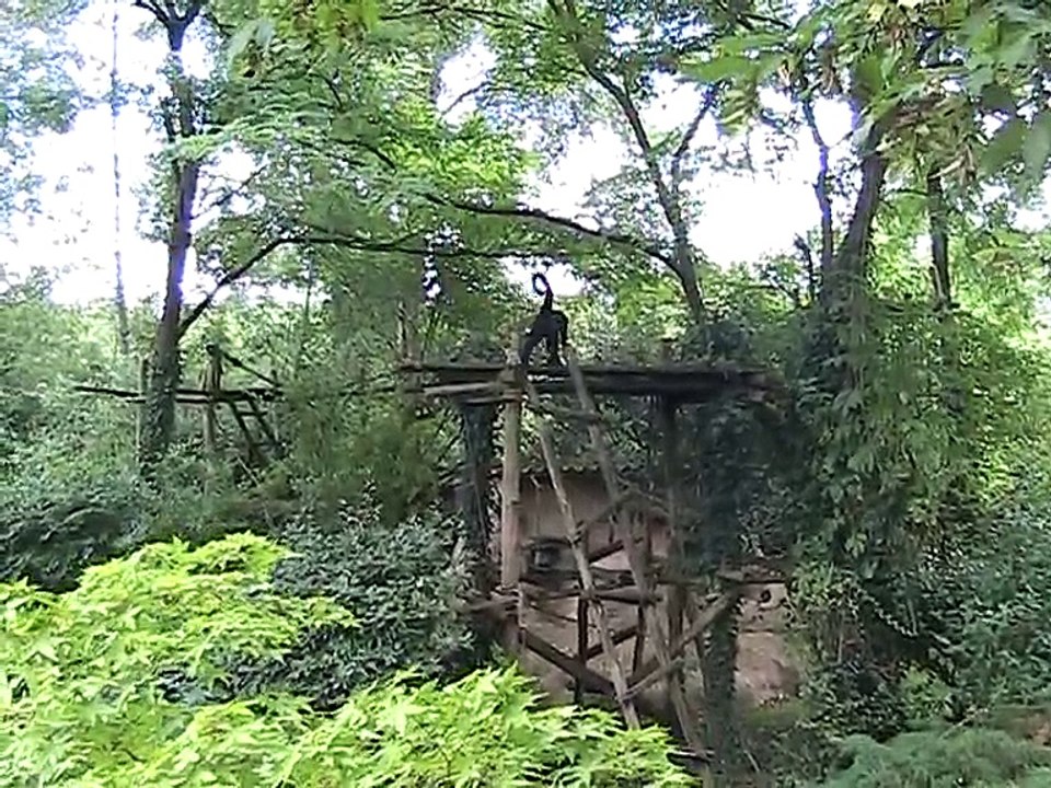 Zoo Amnéville-Singes (1)