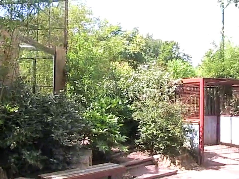 Zoo Amnéville-Volière (1)