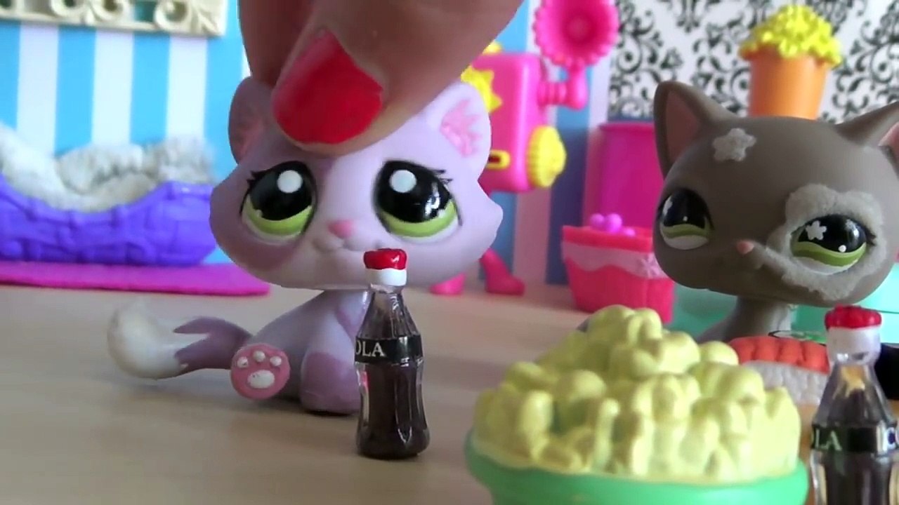 LPS Sleepover Secret