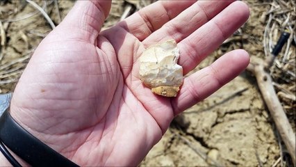 arrowhead hunting 2/18/2017