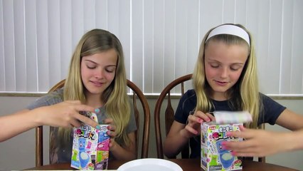 Japanese Toilet Candy Kit ~ Jacy and Kacy