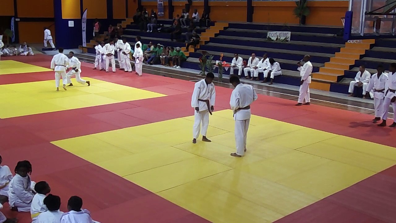 DEMONSTRATION  POLE JUDO   2018