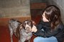 SPA de Velaine-en-Haye : de l'espoir pour les chiens et chats abandonnés