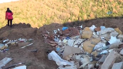 Çöplükte Çok Sayıda Ölü Köpek Bulundu