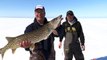 Gigantic Lake of the Woods Pike Ice Fishing - Babe Winkelmans Good Fishing
