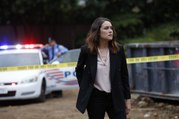 The Blacklist Season 5 Episode 13 | The Invisible Hand [Putlocker]