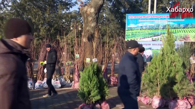 Рустами Эмомали продвигает языческий праздник