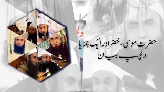 Beautiful story of Hazrat Musa, Hazrat Khizer and a sparrow Maulana Tariq Jamil