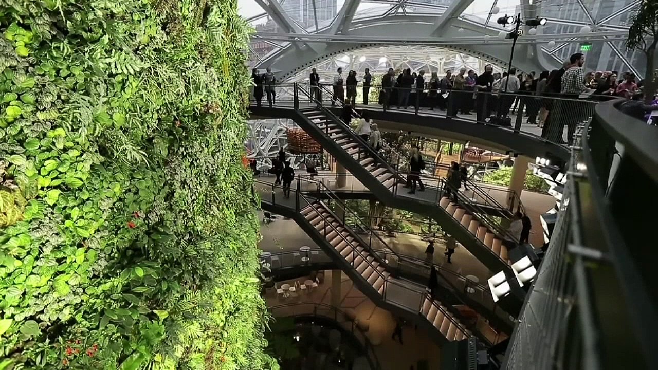 Amazon's alternative rainforest workspace