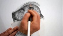 연필그림 Pencil sketch - 패딩턴(Paddington)그리기 [Speed drawing]