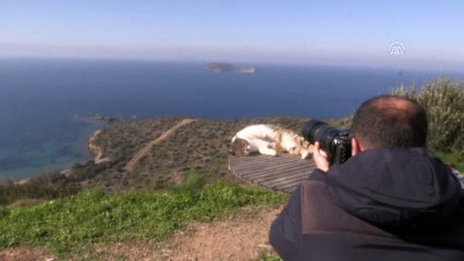Kardak'ta önleme devriyesi görevi sürüyor - MUĞLA