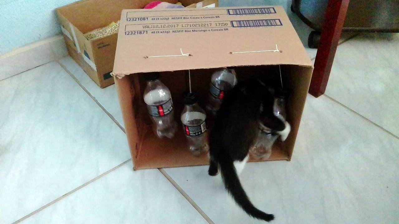 Cheap Toys Are the Best Toys!