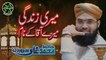 Muhammad Ali Soharwardi - Meri Zindagi Mere Aqa K Naam - Safa Islamic 2018